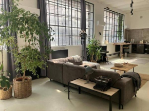 Unique loft in Budapest